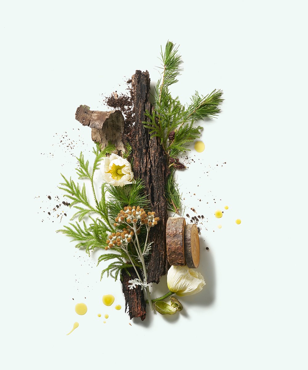 CORPUS Naturals Plant based Deodorant - Cedar Flora