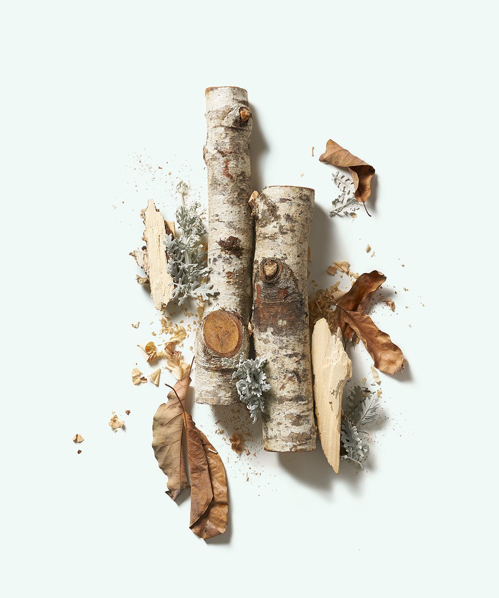 CORPUS Naturals Plant based Deodorant - Santalum