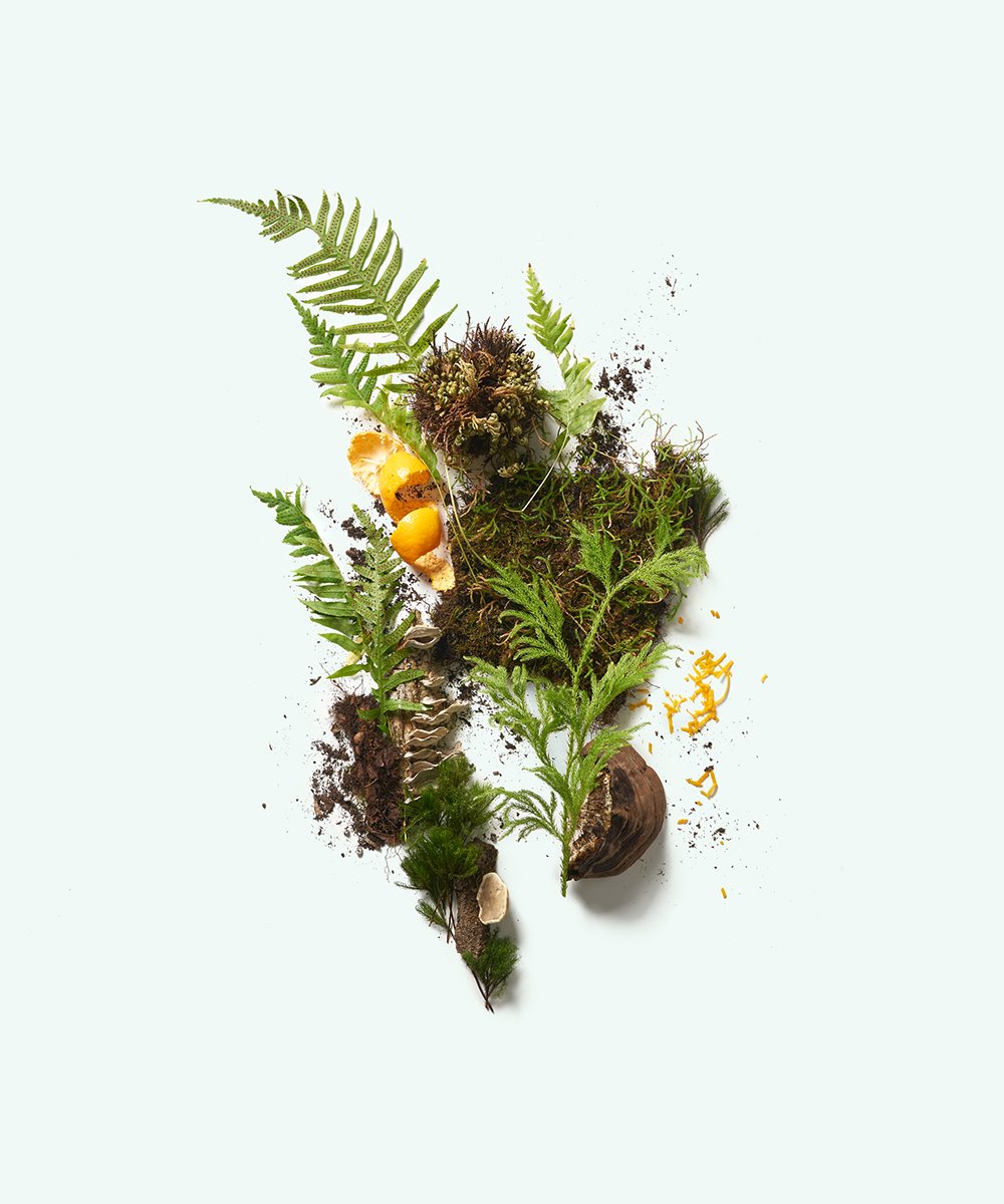 CORPUS Naturals Plant based Deodorant - The Botanist