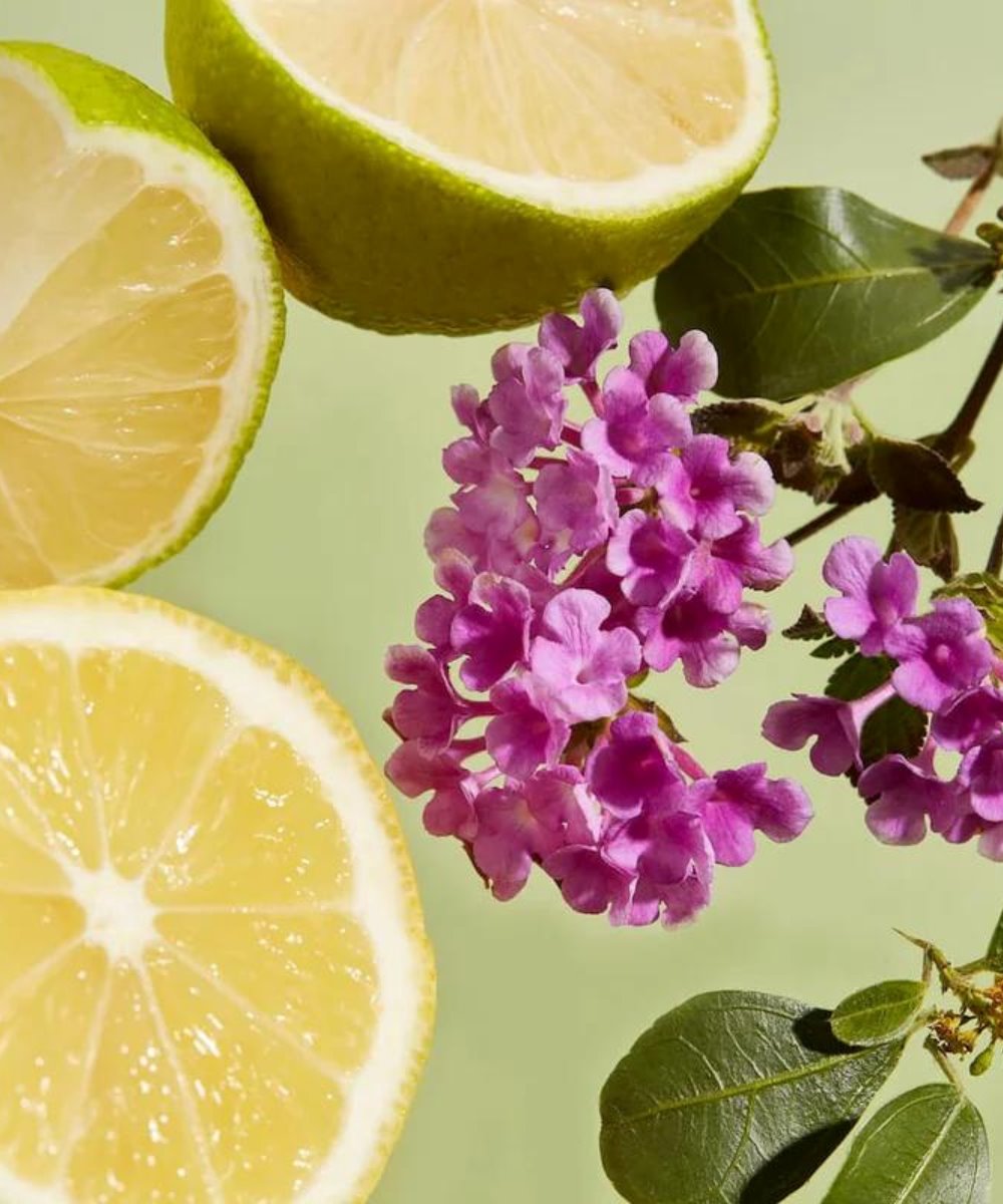 HAAN Purifying Verbena Body Scrub