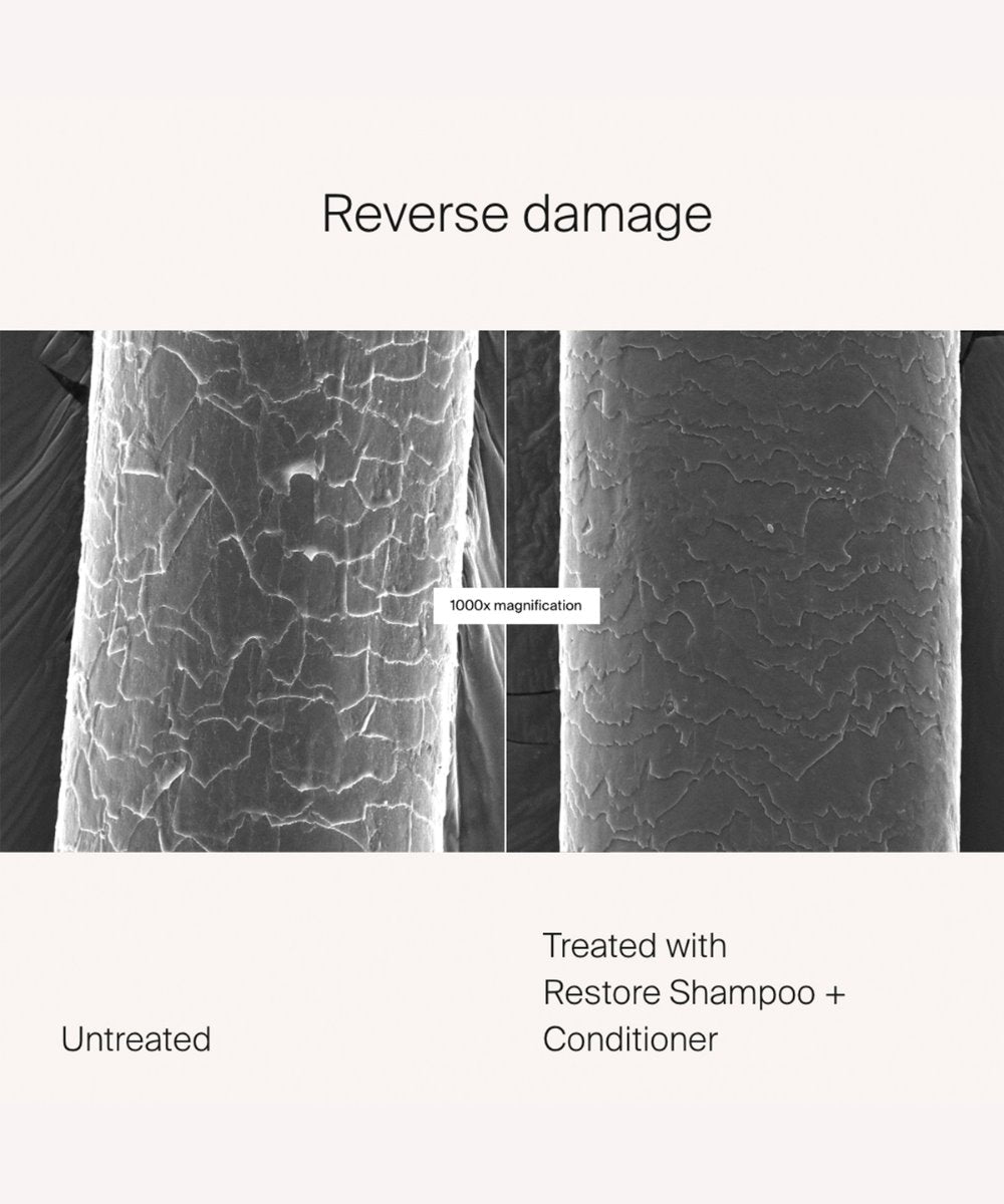 Living Proof Restore Shampoo