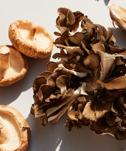 LOAM Beauty Blend - Maitake & Shiitake Organic Extract Powder 