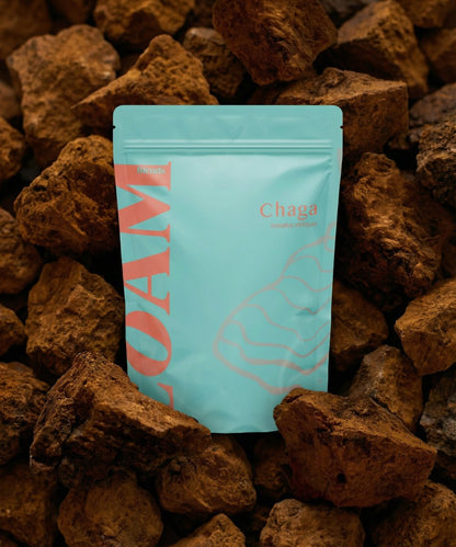 LOAM Chaga Organic Extract Powder 