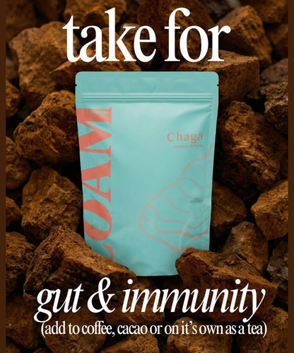LOAM Chaga Organic Extract Powder 