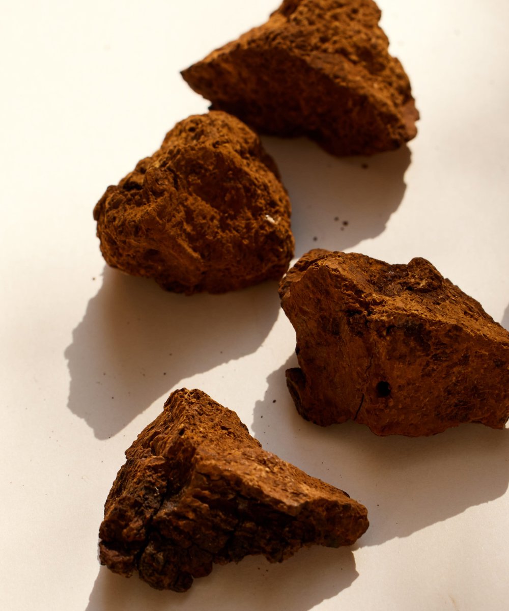 LOAM Chaga Organic Extract Powder 
