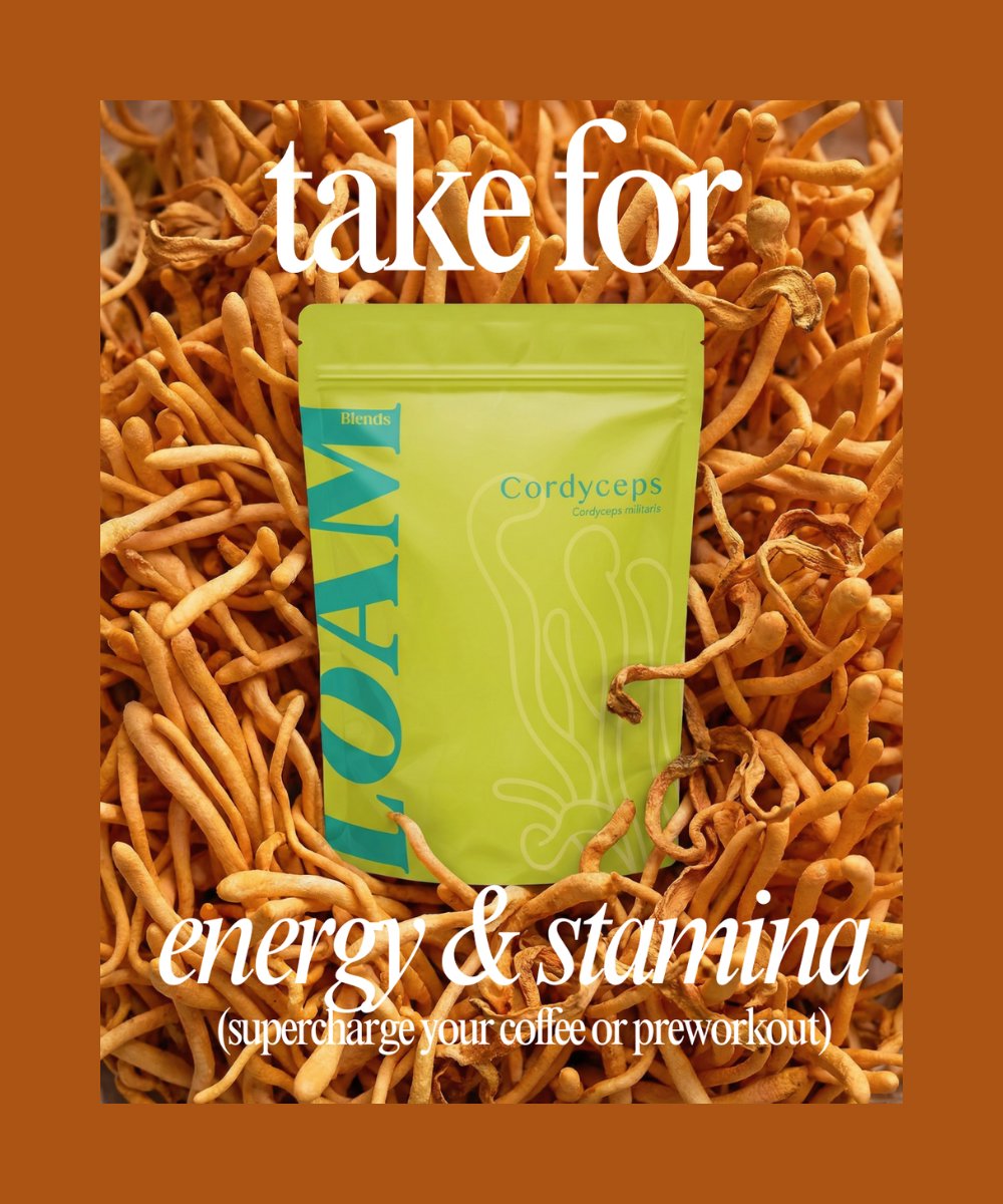 LOAM Cordyceps Militaris Organic Extract Powder 