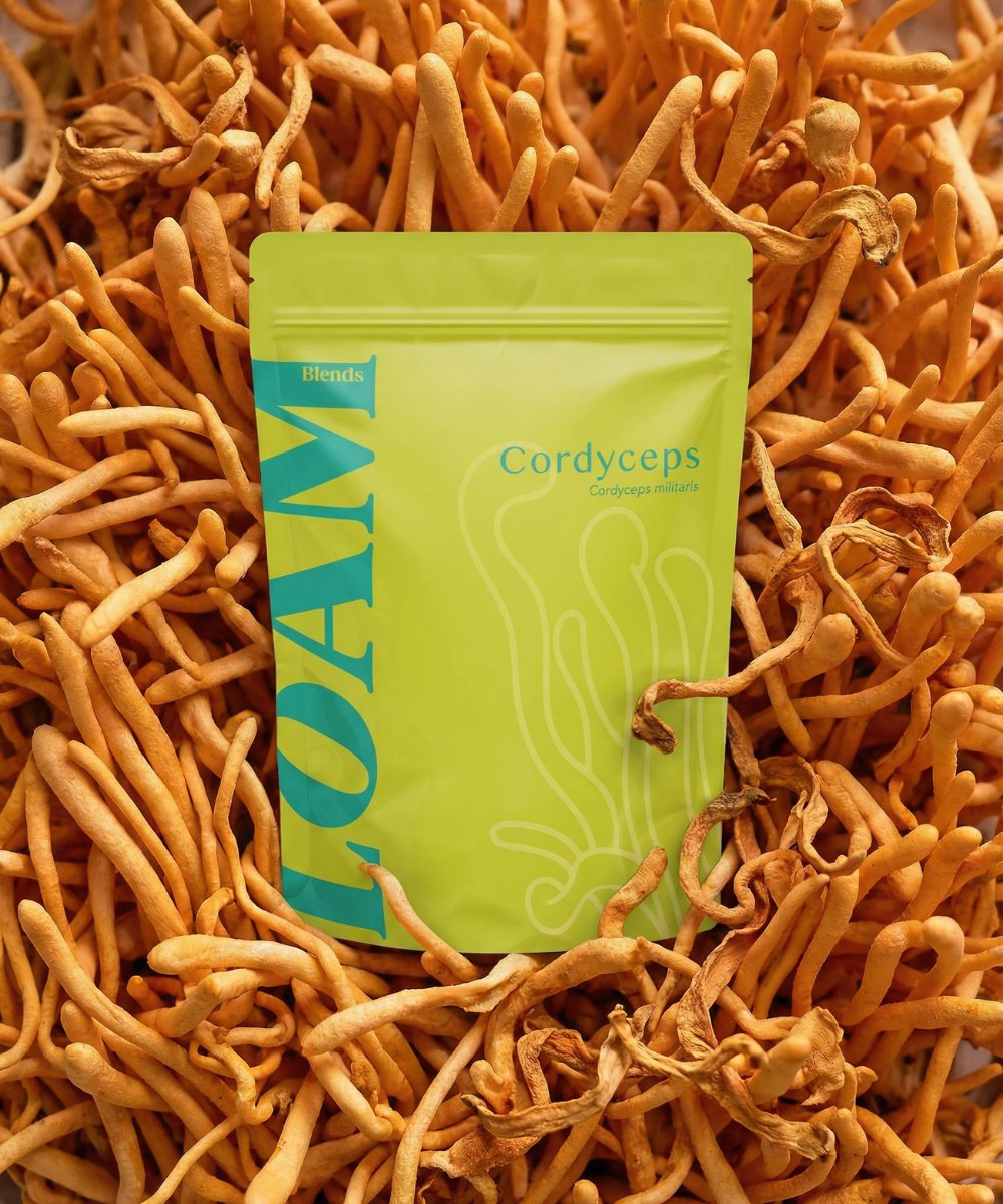 LOAM Cordyceps Militaris Organic Extract Powder 