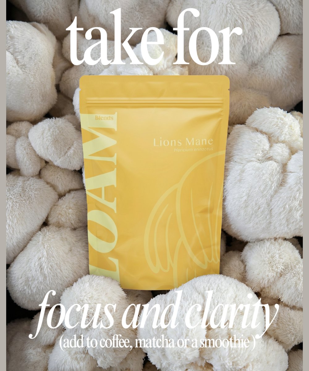LOAM Lion’s Mane Organic Extract Powder 