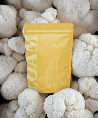 LOAM Lion’s Mane Organic Extract Powder 