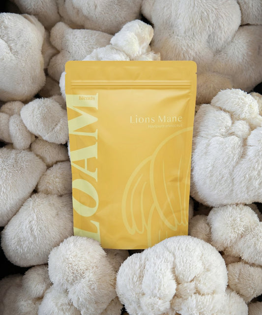 LOAM Lion’s Mane Organic Extract Powder 