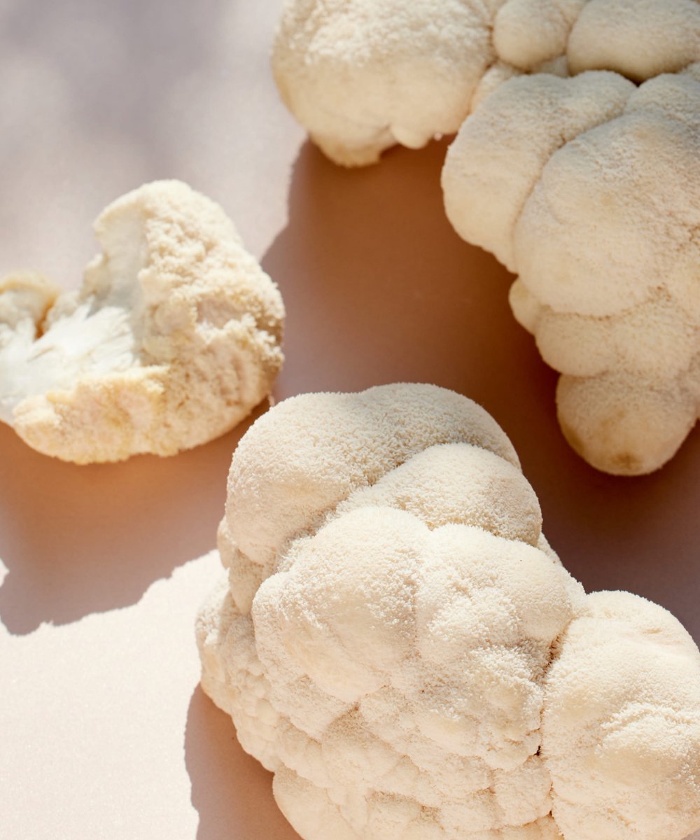 LOAM Lion’s Mane Organic Extract Powder 