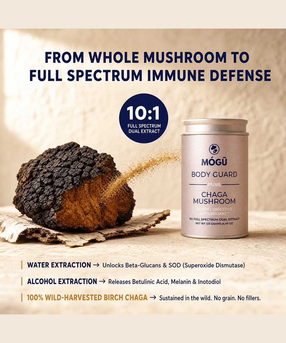 Mogu Mushrooms Body Guard Organic Chaga Mushroom 