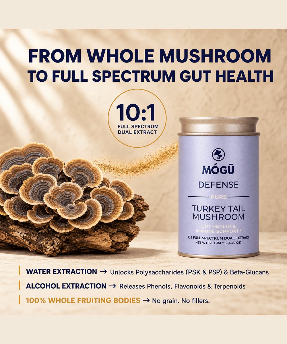Mogu Mushrooms Defense Organic Turkey Tail Mushroom 
