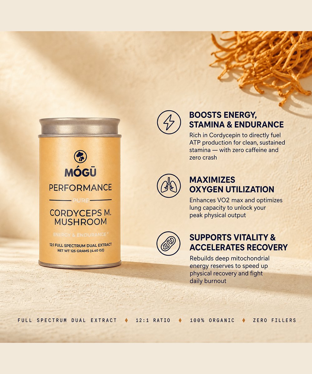 Mogu Mushrooms Performance Organic Cordyceps Militaris 