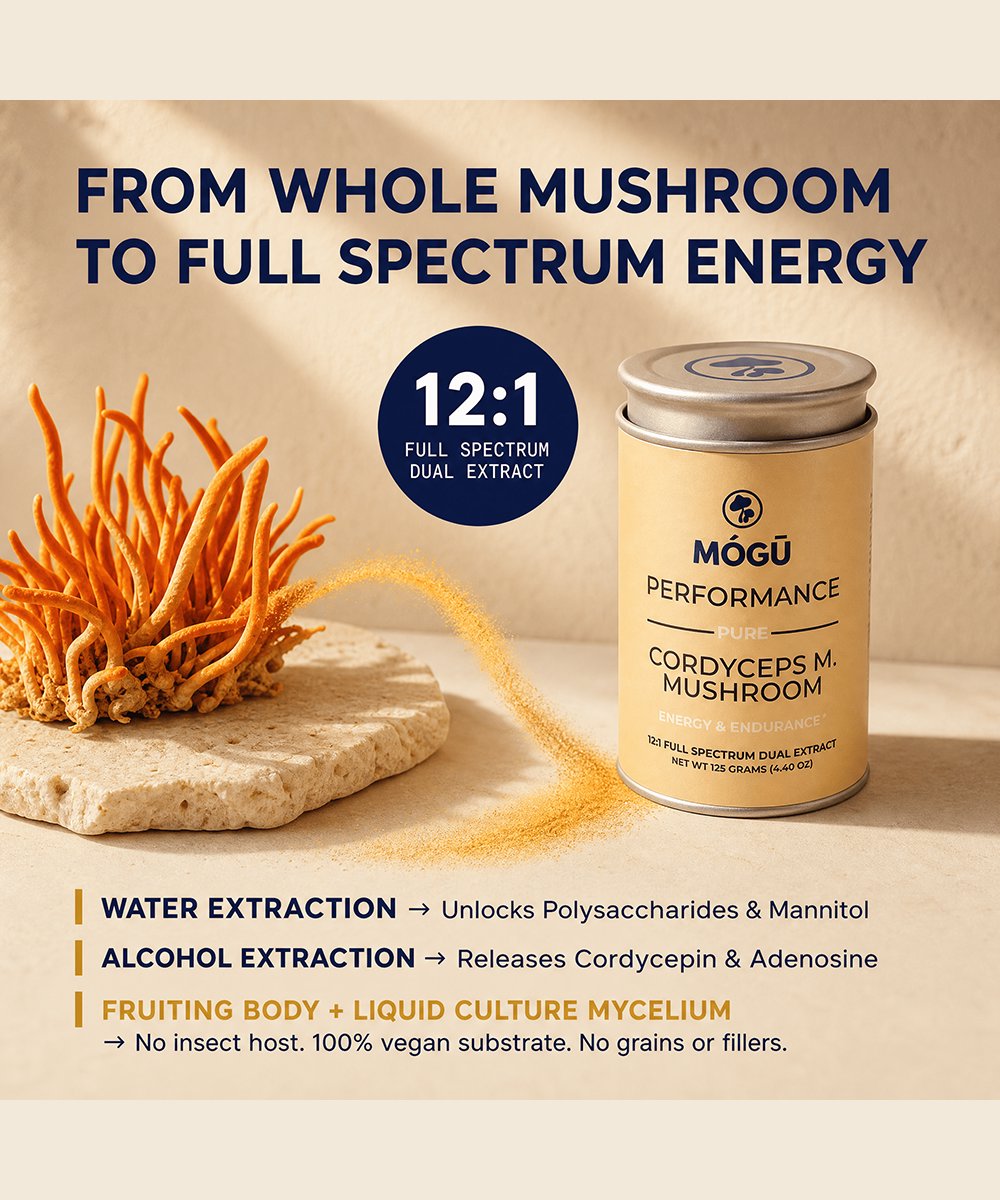 Mogu Mushrooms Performance Organic Cordyceps Militaris 