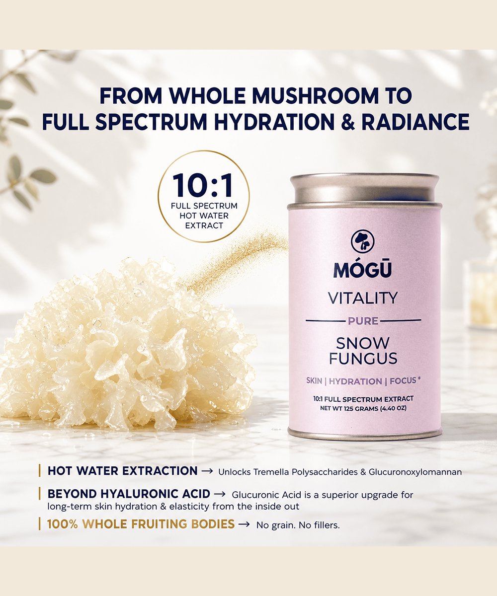 Mogu Mushrooms Vitality Organic Snow Fungus Mushroom 