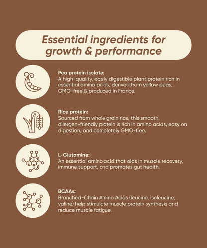 Rite Plant Protein - Chocolate 
