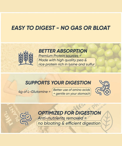 Rite Plant Protein - Chocolate 