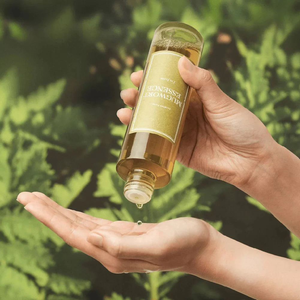 Buy I'm From Mugwort Essence 160ml Online in Saudi Arabia - YASHIE SA