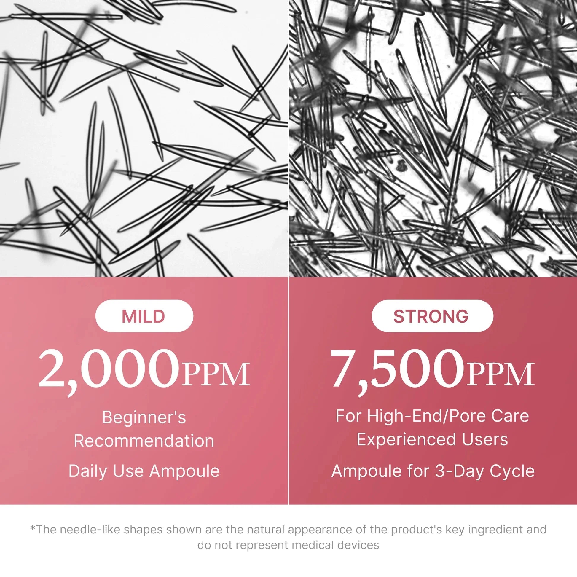Microscopic view comparing the 2,000 PPM mild daily dose and 7,500 PPM strong 3-day cycle dose.